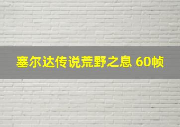 塞尔达传说荒野之息 60帧